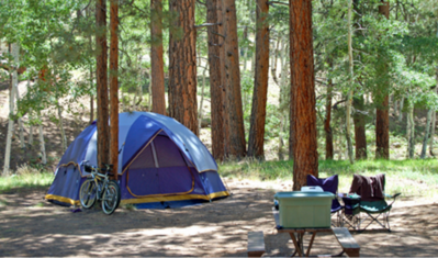 Housing-Family-Chalet-700x300